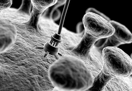 Algunos prodigios tecnológicos de lo increíblemente pequeño