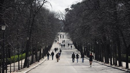 jardines-de-el-retiro-madrid.jpg
