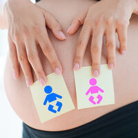 ¿En qué semana de embarazo nacen mellizos o gemelos, trillizos y cuatrillizos? 