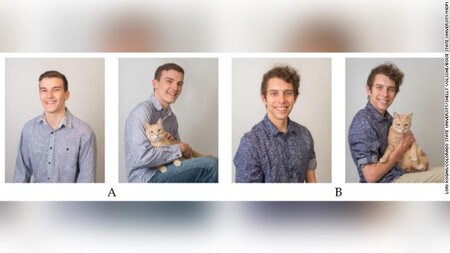Para atraer a las mujeres debes mantener a tu gato lejos de la foto de tu perfil