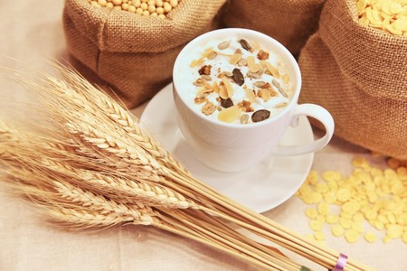 Agregar fibra refinada a los alimentos procesados podría tener efectos negativos para la salud