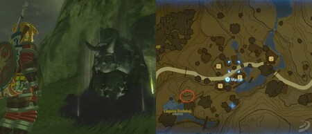 Intercambiar Corazones Zelda Botw