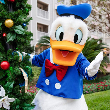 Donald Duck