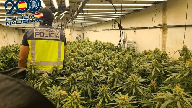 Policia Maria