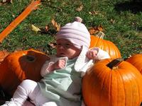 La foto de tu bebé: entre calabazas