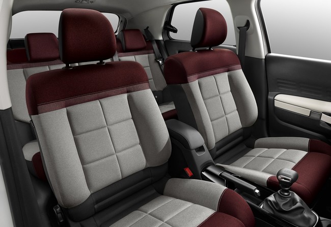 Nueva Berlina C4 Cactus 4
