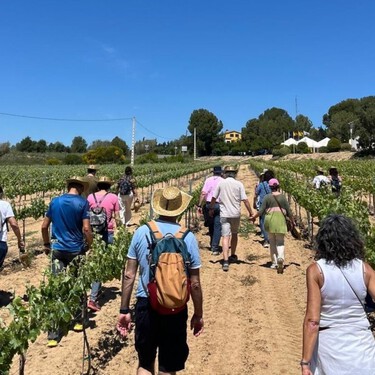 La Primavera del Cava regresa al Penedès y la Conca con actividades para todos los públicos: ya puedes inscribirte