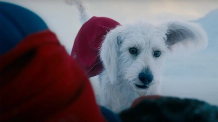 Krypto Escena Post Creditos Superman