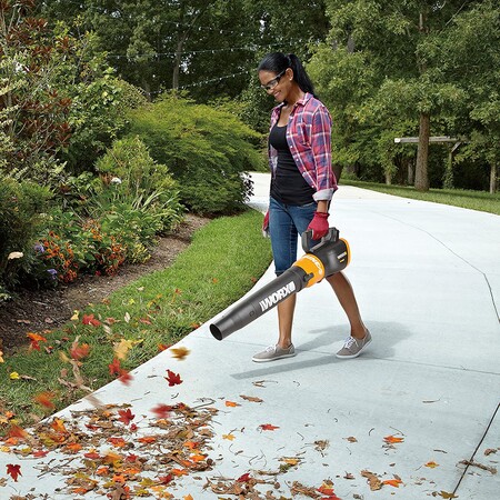 Ofertas del día en herramientas para hogar y jardín Worx y Bosch Professional con sopladores, taladros y sierras rebajados en Amazon