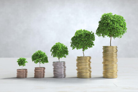 Apilamientos de monedas ordenados de forma creciente, con un pequeño árbol encima de cada uno de ellos