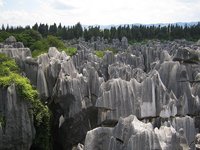 Paisajes impactantes: el Bosque de Piedra de Shilin