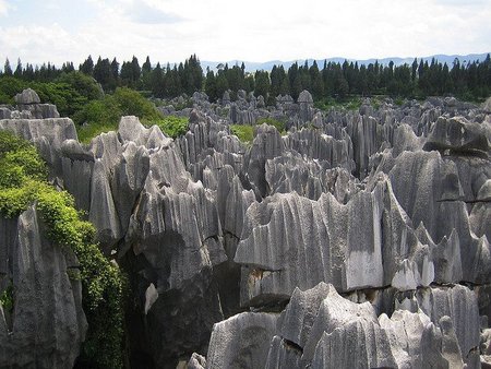 Paisajes impactantes: el Bosque de Piedra de Shilin