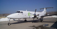 Pet Airways: la compañía aérea de las mascotas