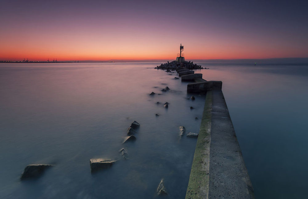 Karol Nienartowicz 14