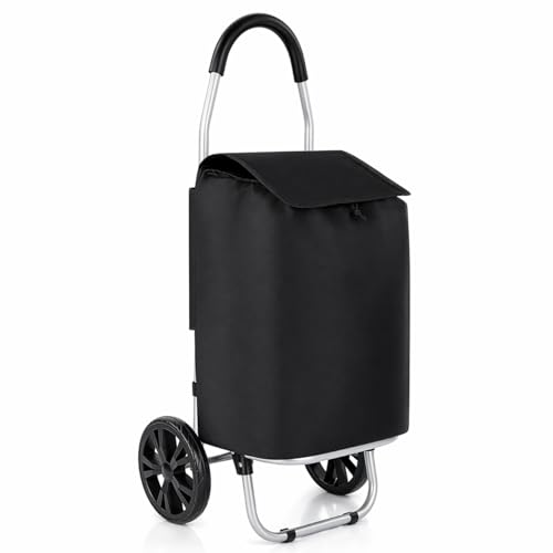 Carro de Compra Plegable 2 Ruedas Grandes