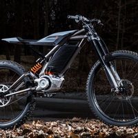 Con dos nuevas motos eléctricas Harley-Davidson quiere atraer a los millennials para asegurar su futuro 