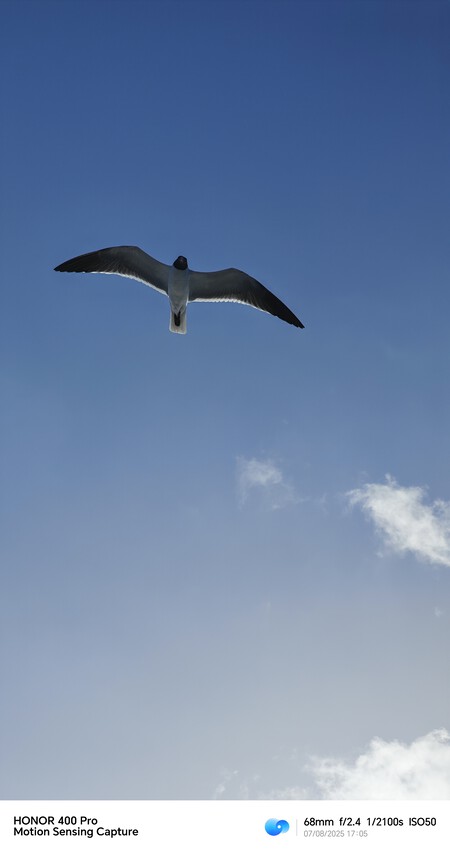 Honor 400 Pro Analisis Review Prueba Camara Objetos Movimiento