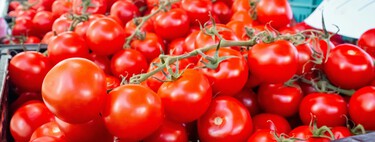 "Prefiero tirar la cosecha a que nos paguen 80 céntimos": los tomates están por las nubes y a los agricultores no les salen las cuentas