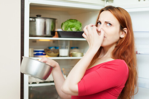 Mujer En Rojo Que Sostiene La Comida Sucia