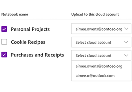 Onenote Local