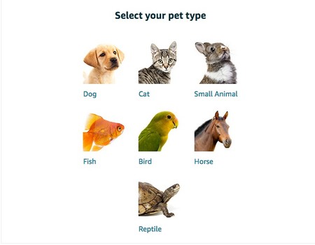 Pet Profiles