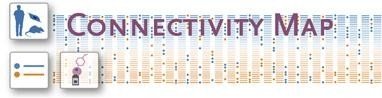 Connectivity Map, buscador vinculante de patologías y fármacos