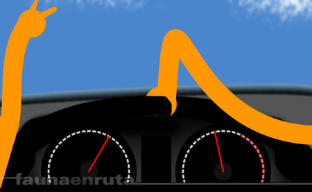 Las manos, siempre al volante