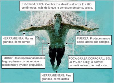 La herramienta crucial de Michael Phelps: su cuerpo