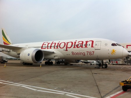 Los pilotos del Boeing 737 MAX de Ethiopian Airlines siguieron el procedimiento pero no funcionó, según el informe preliminar
