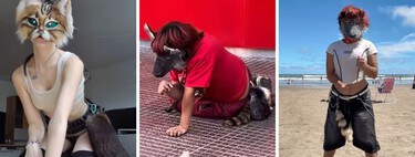 They walk on all fours, jump from furniture to furniture like a cat, have tails and claws: meet the "therians"