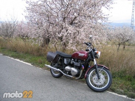 Prueba Triumph Bonneville 2008 (2)