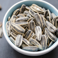 Em parceria com universidade da Alemanha, pesquisadores da UNICAMP acham na semente de girassol um substituto para carne que é altamente nutritivo 