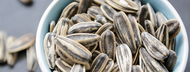 Em parceria com universidade da Alemanha, pesquisadores brasileiros acham na semente de girassol um substituto para carne que é altamente nutritivo