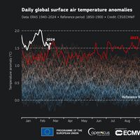 Febrero fue el mes más cálido de la historia y no sería lo peor. Esto es lo que dicen que pasará en verano