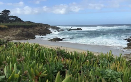 カリフォルニアのモントレー地域の典型的なビーチの 1 つ。