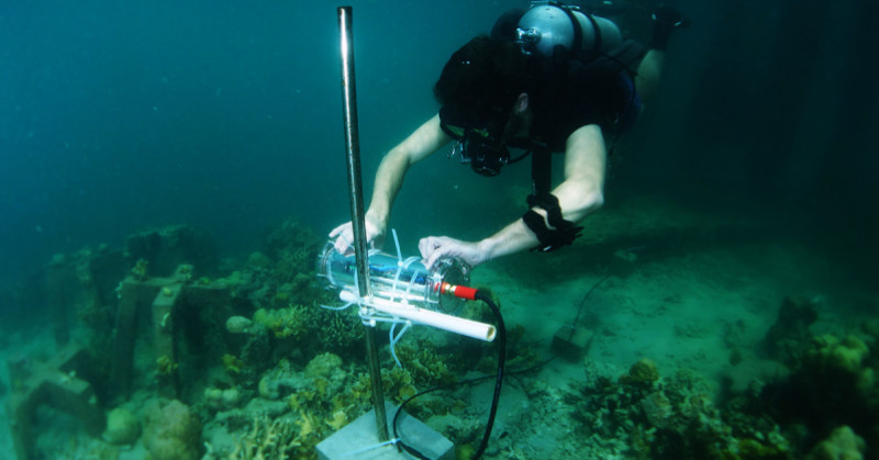 Intel Project Corail 01
