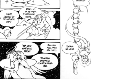 La princesa caballero