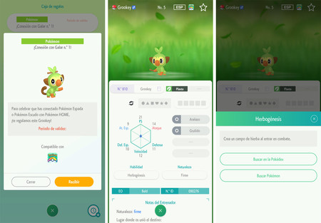 cómo conseguir los tres Pokémon iniciales con sus habilidades ocultas gracias a Pokémon Home 4 Guía del escudo de la espada de Pokémon