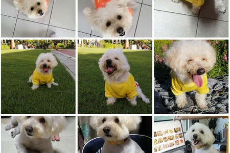 Cómo crear collages y animaciones en Google Fotos