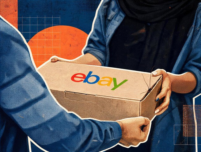 Ebay paquete con cucarachas