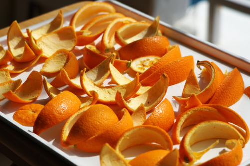 Cáscaras de mandarina al sol