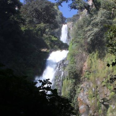 Esta es la segunda cascada más grande de México y está en Puebla: es impresionante y  pocos saben cómo llegar