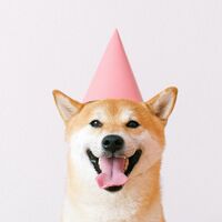 La espectacular subida de Dogecoin, mayor que la de bitcoin, con todos los elementos de hype actuales: Reddit, Elon Musk y troleos varios