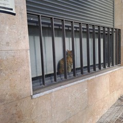 image01