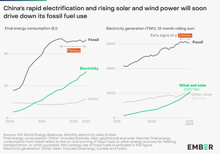 Grafico Consumo Fosil Estancado China