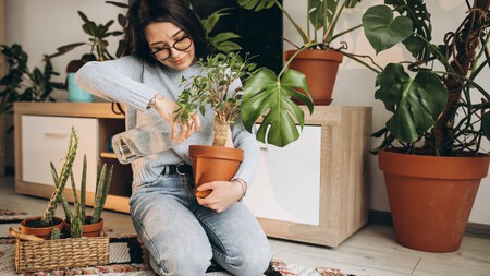 plantas de casa