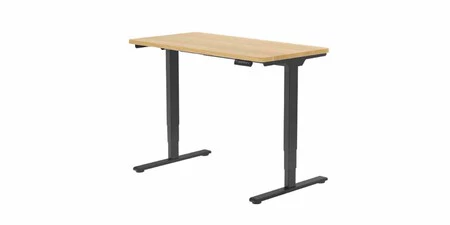 FlexiSpot E5-Lite