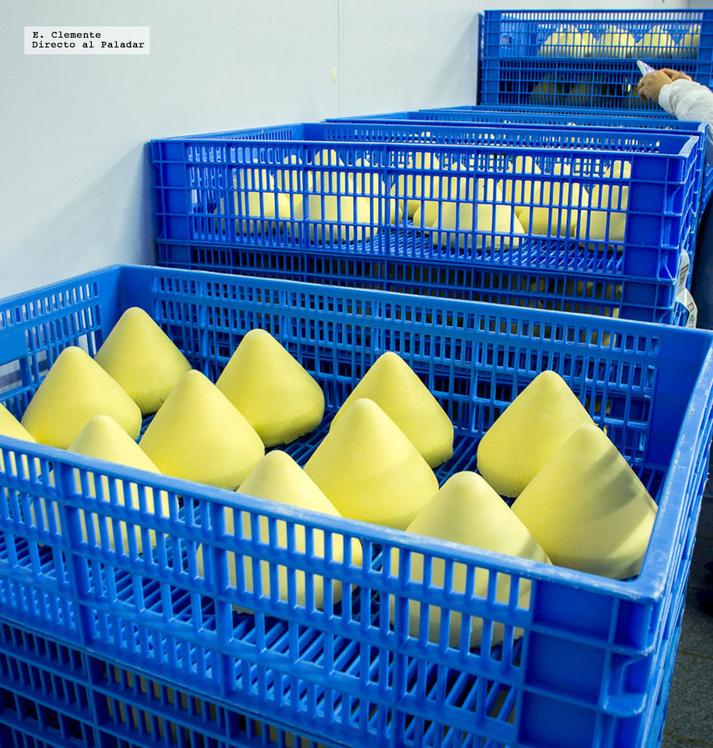 ¿Cómo se hace y cómo cocinar con el queso tetilla el gallego más