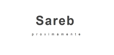La expropiación de dominios .es ya tiene su primera víctima en la empresa