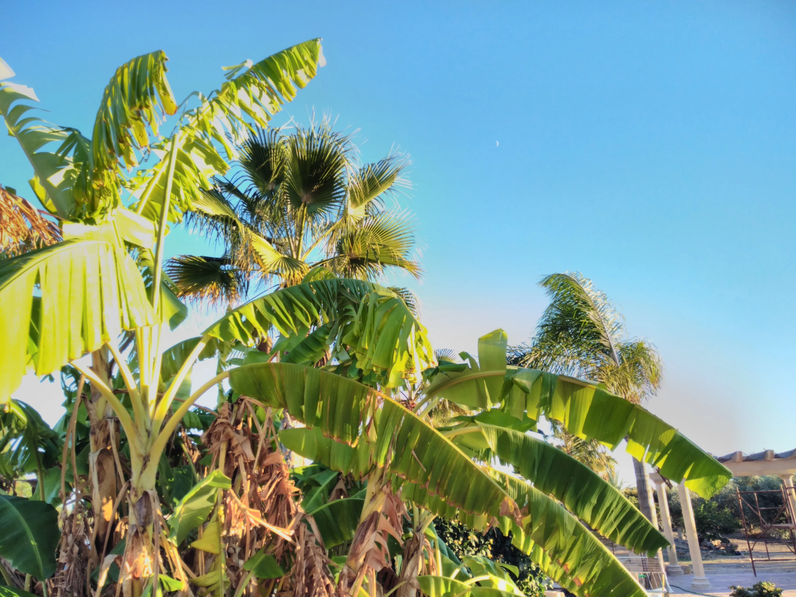 Foto de Wiko U Feel Prime (9/20)